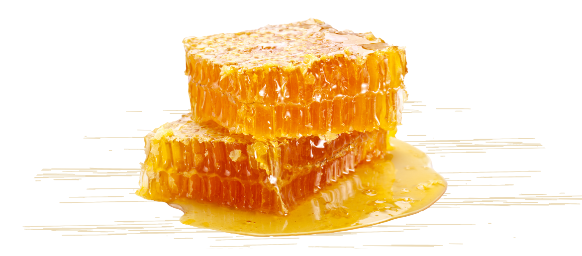 Mật ong Vạn Xuân